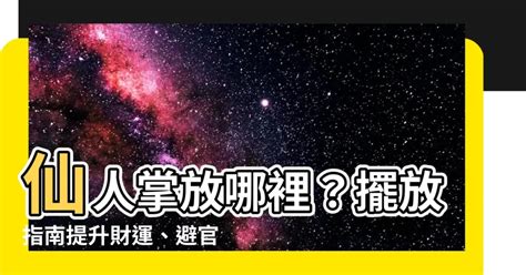 仙人掌辦公室|仙人掌風水辦公室擺放指南：提升運勢、招財擋煞 